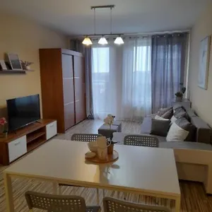 Z Garazem Blisko Lotniska Апартаменты